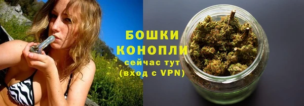 индика Богданович