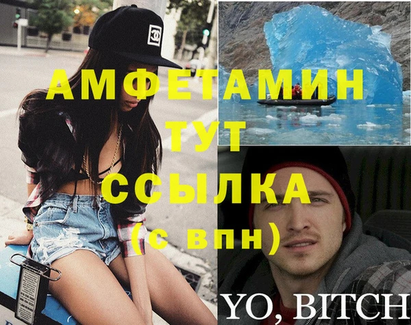 индика Богданович